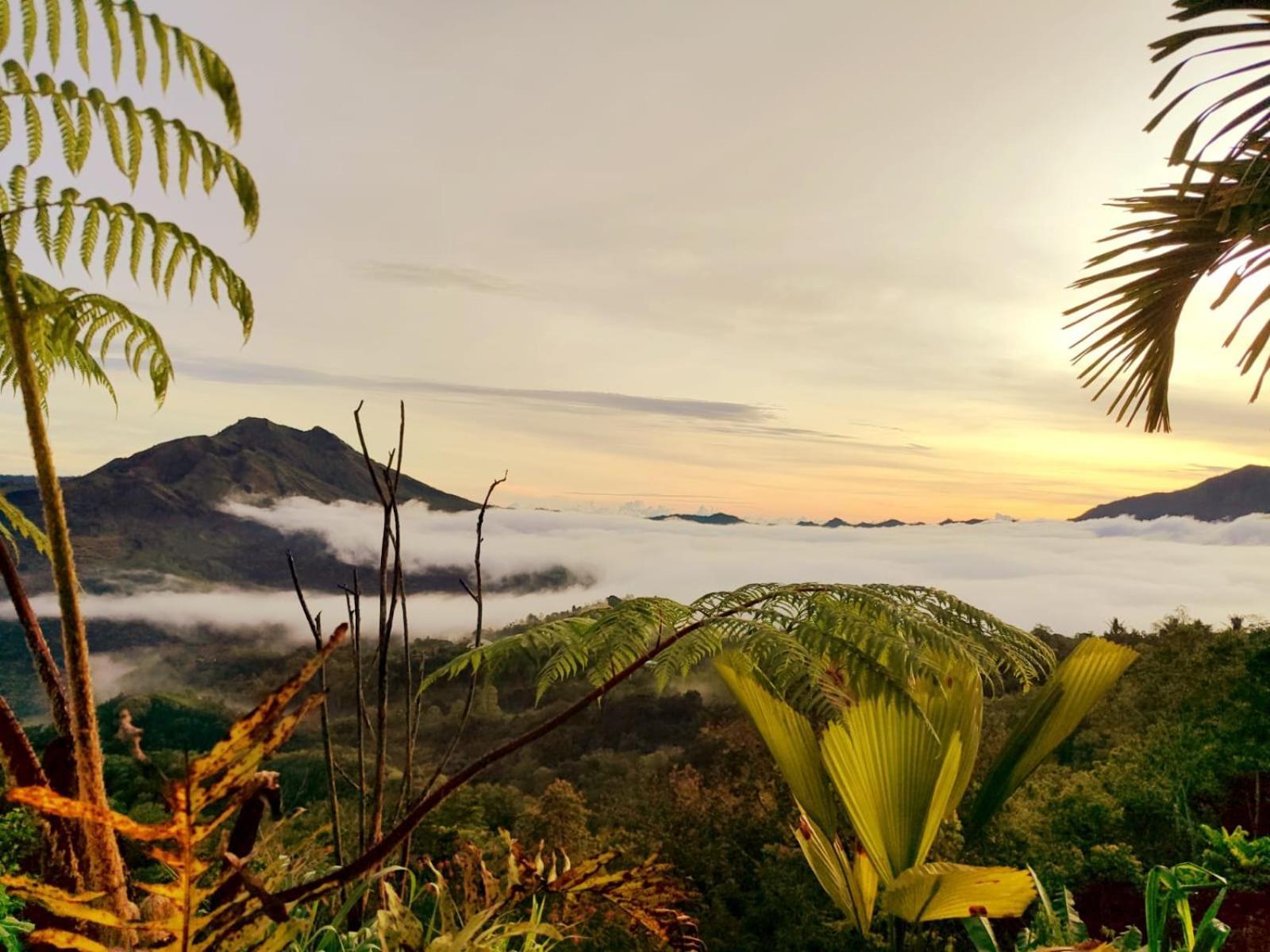 Batur View Homestay - Loft Kintamani  Exterior photo
